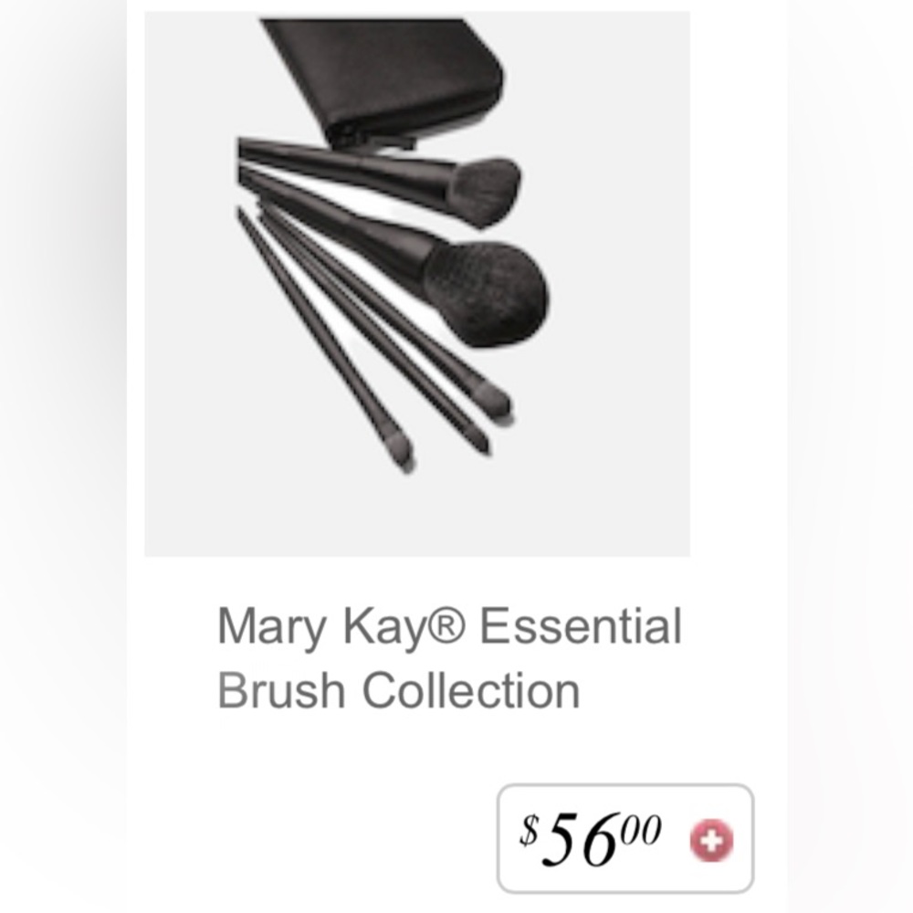Mary Kay Essential Brush Collection